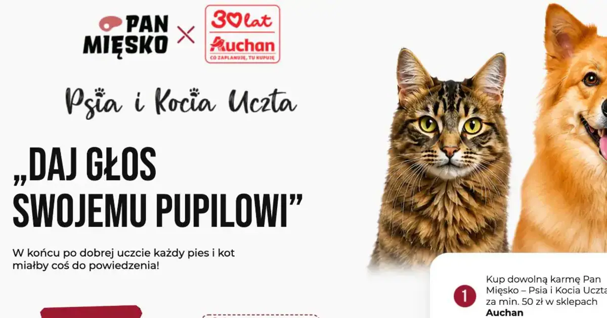 Konkurs Pan Mięsko x Auchan: wygraj karmę dla swojego pupila do końca sierpnia