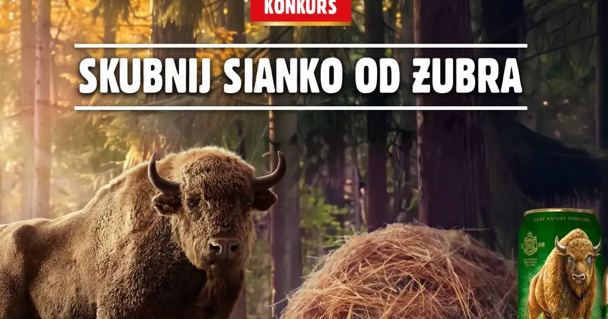 Wygraj 25 000 zł i nagrody gamingowe w akcji Żubra
