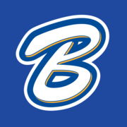 Logo marki Beskidzkie