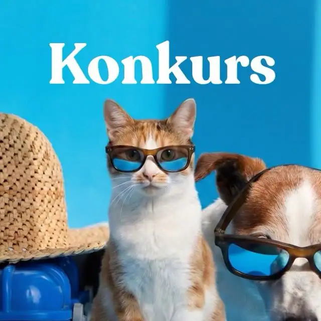 Konkurs WOW!PETS "Wakacyjna walizka pupila" — tło