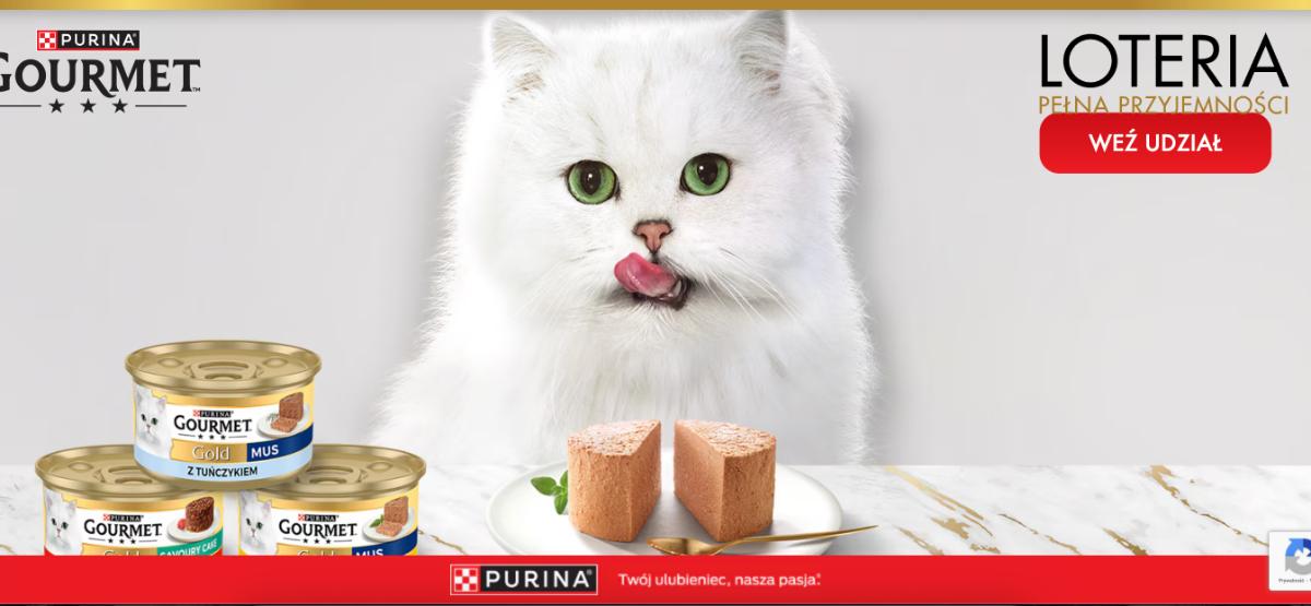 Loteria Gourmet „Loteria pełna przyjemności”