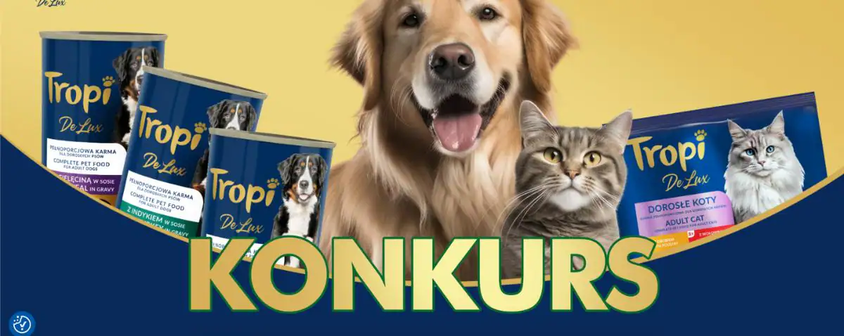 Konkurs Tropi x Dino „Wygraj z Dino i Tropi De Lux Edycja 2”