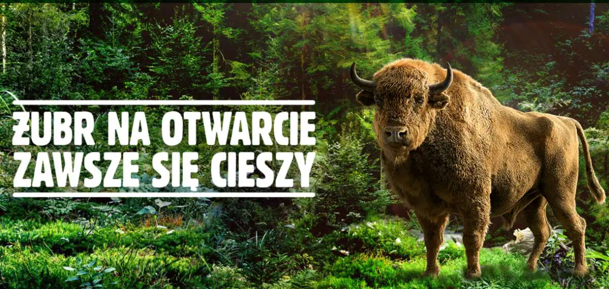 Konkurs Żubr x Auchan, Carrefour, E. Leclerc, Intermarche, Stokrotka, Topaz "Wygrywaj Żubrem"