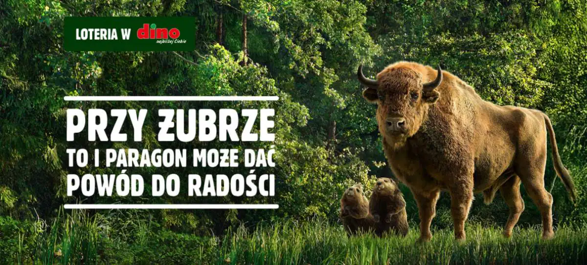 Loteria Żubr x Dino "Rok zakupów od Żubra"