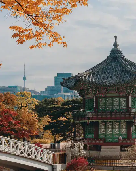 Konkurs alp:ist, CICA LABO x Rossmann "K-Beauty Hair Trip"